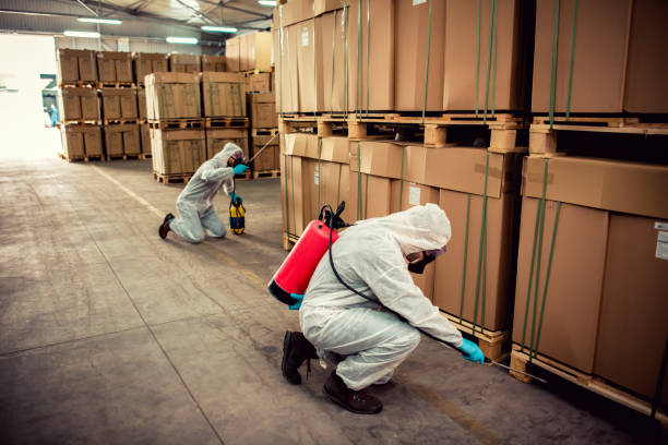 Best Termite Control Services  in Lorane, PA