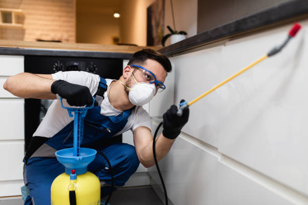 Best Pest Prevention Services  in Lorane, PA
