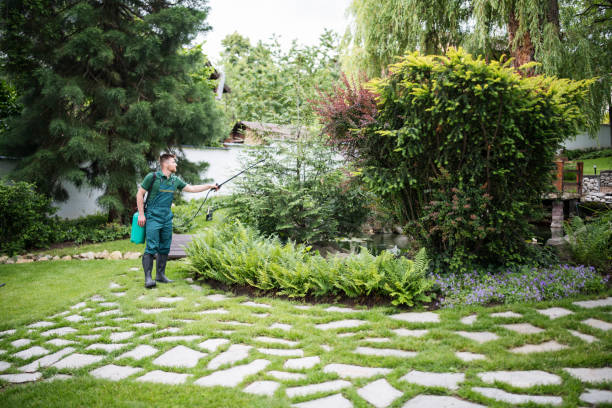 Professional Pest Control in Lorane, PA
