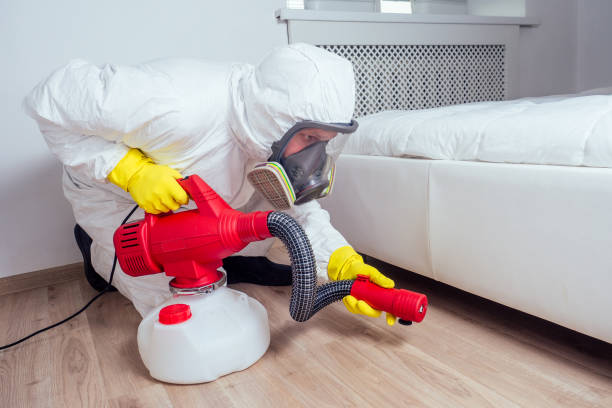 Flea Control Services in Lorane, PA